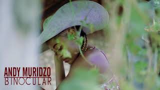 AUDIO Andy Muridzo - Binocular MP3 DOWNLOAD
