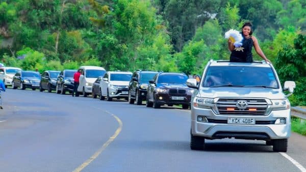 Mama Africa - Mboya Nzungie