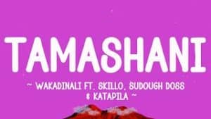 AUDIO Wakadinali - Tamashani Ft Skillo , Sudough Doss & Katapilla MP3 DOWNLOAD