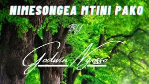 AUDIO Godwin Ngosso - Nimesongea Mtini Pako MP3 DOWNLOAD