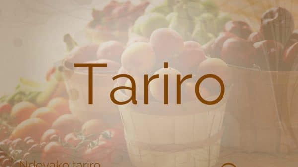 AUDIO Shingisai Suluma - Tariro MP3 DOWNLOAD