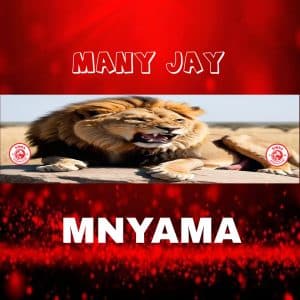 AUDIO Many Jay – Mnyama MP3 DOWNLOAD