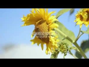 AUDIO Jomireso voices Tz - Nimetenda MP3 DOWNLOAD