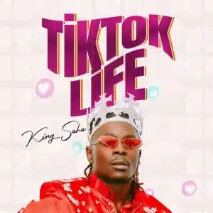 AUDIO King Saha - Tiktok Life MP3 DOWNLOAD