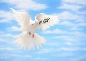 AUDIO Loud Cry Singers - Imika Guwo MP3 DOWNLOAD