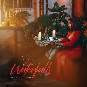 AUDIO Tanasha Donna - Waterfalls MP3 DOWNLOAD