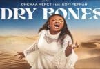AUDIO Ohemaa Mercy Ft Kofi Owusu Peprah - Dry Bones MP3 DOWNLOAD