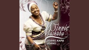 Winnie Mashaba - Tsietsing