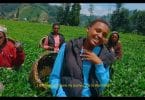 VIDEO: Vestine & Dorcas – SIMPAGARARA