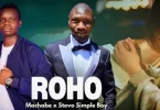 AUDIO Stevo Simple Boy - Roho Ft Machabe MP3 DOWNLOAD