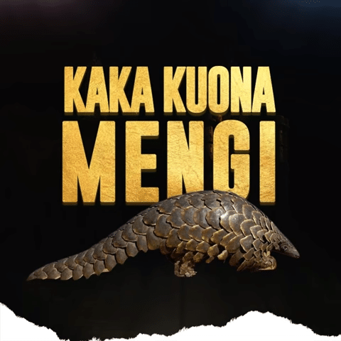 Kamusi – Conversation Ft. Dizasta Vina MP3 DOWNLOAD