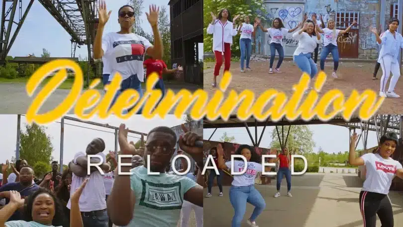 Les Lionceaux Célestes - Détermination