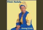 Winnie Mashaba - Dula Le Nna