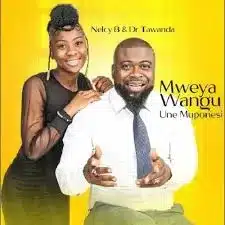 AUDIO Dr Tawanda - Mweya Wangu Inzwa Tenzi MP3 DOWNLOAD