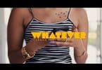 Logan Joe Ft Kivumbi King - Whatever