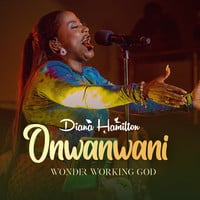 AUDIO Diana Hamilton - Onwanwani (Wonder Working God) MP3 DOWNLOAD