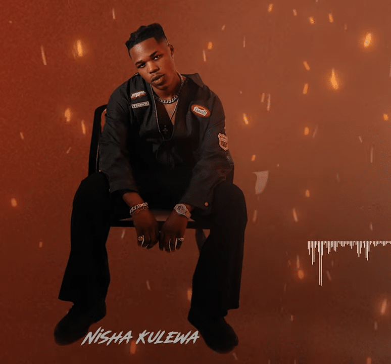 AUDIO Joe Like - NishaKulewa MP3 DOWNLOAD