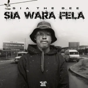 AUDIO Sia TheBee Ft Snokie & BigBaller CEO - Motho Ke Noga MP3 DOWNLOAD
