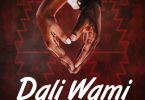King Tesomo feat. Nobuhle - Dali Wami MP3 DOWNLOAD