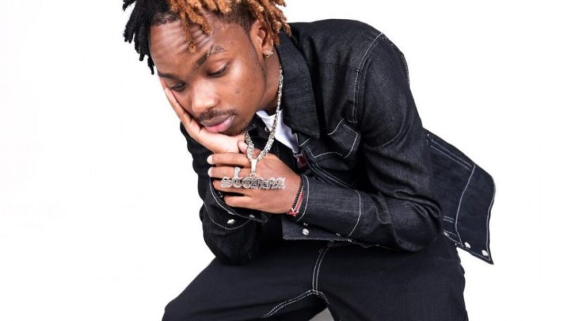 AUDIO Lil Maina Ft Wizzo Tanonane - Umbwakni MP3 DOWNLOAD