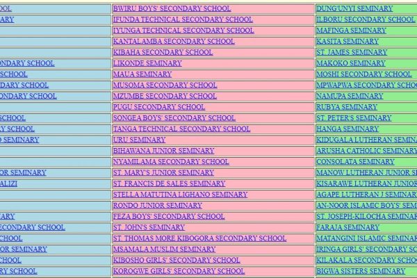 Matokeo ya Darasa la Nne 20252026