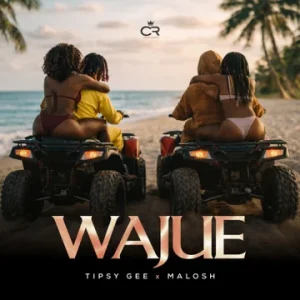 AUDIO Tipsy Gee Ft Malosh - Wajue MP3 DOWNLOAD