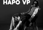 Dogo Rema - Hapo Vipi MP3 DOWNLOAD