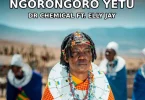 AUDIO Dr Chemical Ft Elly Jay - Ngorongoro Yetu MP3 DOWNLOAD
