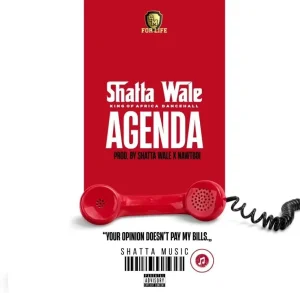 AUDIO Shatta Wale - Wake Up MP3 DOWNLOAD